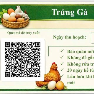 Trứng gà Đơn Dương