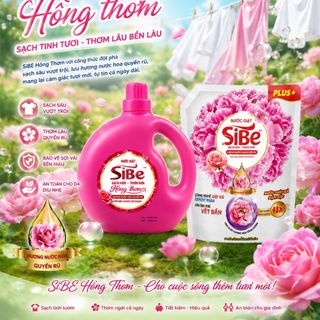 Nước giặt SiBE Hồng Thơm 5in1