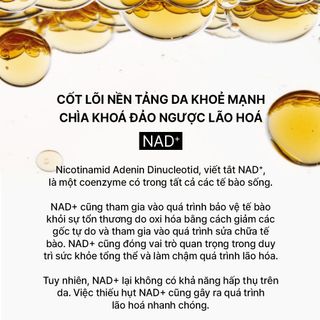 Bộ dưỡng da ngăn ngừa lão hóa chuyên sâu The Whoo Bichup Special Gift Kit 3sp