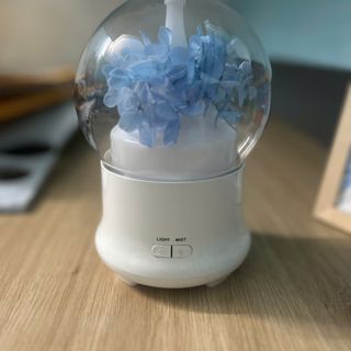 Máy Khuếch Tán Hương Thơm Cẩm Tú Cầu - Xông Tinh Dầu