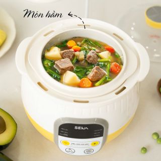 Nồi nấu chậm Seka SK6132