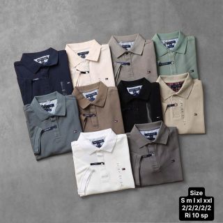 Polo TM nam cá sấu cotton lục giác.
