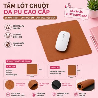 Tấm Lót Chuột Da PU Kích Thước 27x21cm , 30x30cm