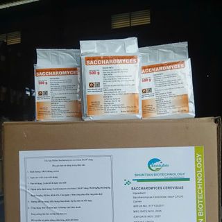 Men Vi Sinh Saccharomyces Cerevisiae – Cải Thiện Đường Ruột, Trị Phân Trắng Tôm Cá, Tăng Năng Suất