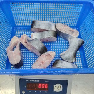 Cá Basa steak cắt khúc đông lạnh