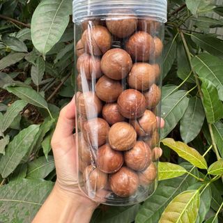 Hạt mắc ca tách nứt size nhỏ 22-24