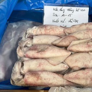 MỰC ỐNG ĐÔNG BỜ ẤN ĐỘ AA
