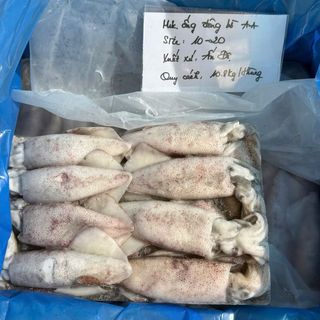MỰC ỐNG ĐÔNG BỜ ẤN ĐỘ AA