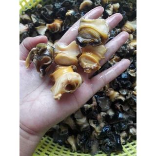 Thịt đầu ốc bươu