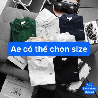Polo LC  Cotton cá sấu 4 c  mang mát , rút mồ hôi tốt.