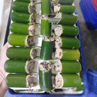 Ốc nhồi ống nứa