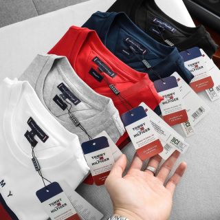 T- Shirt nam Full 5 colors. Chất 100% COTTON chính phẩm co giản 4 chiều.