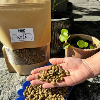 CAFE ROBUSTA HẠT NHÂN XANH S18 GIÁ SỈ