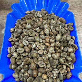 CAFE ROBUSTA HẠT NHÂN XANH S18 GIÁ SỈ