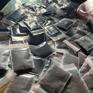 Combo 3 gói HẠT GIỐNG RAU CẢI MÈO BẢN ĐỊA HÀ GIANG