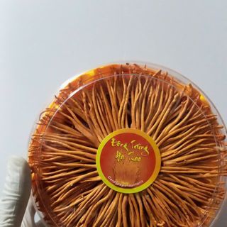Nấm đông trùng hạ thảo sấy thăng hoa 50gr (hộp tròn xếp)