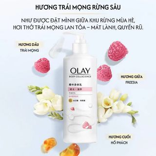 Dưỡng Thể OLAY Hương Quả Mọng260g