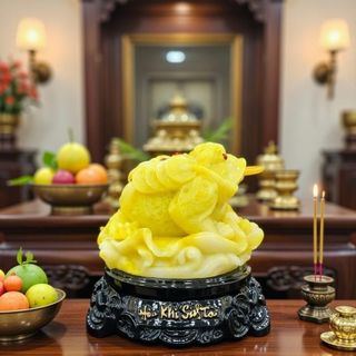 Thiềm Thừ Cóc Ba Chân Ngậm Tiền Vàng Cao 18cm Chất Liệu Đá Trọng Lượng 600g Linh Vật Chiêu Tài May Mắn Phú Quý Bình An Sản Phẩm Việt Nam