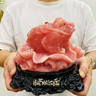 Thiềm Thừ Cóc Ba Chân Ngậm Tiền Đỏ Cao 18cm Chất Liệu Đá Trọng Lượng 600g Linh Vật Chiêu Tài May Mắn Phú Quý Bình An Sản Phẩm Việt Nam
