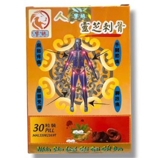 Viên uống đau nhức xương khớp, tê bì chân tay, suy giãn tĩnh mạch Nhân Sâm Linh Chi Gai Cốt Đơn - Hộp 30 viên - Xuất xứ Malaysia - Mã số 2158