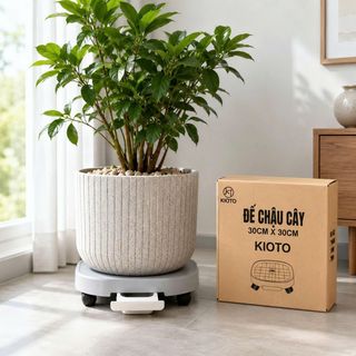 Đế Chậu Cây Màu Trắng + Xám 33cm Full Vat