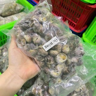Ốc Bông size 100-200 con 1kg ( Giao TPHCM )