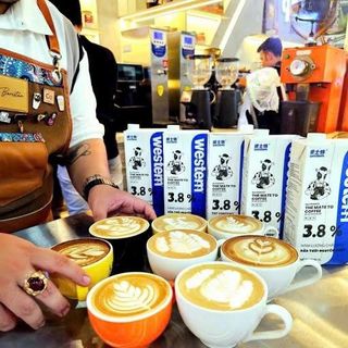 Sữa Tươi Western Độ béo 3.8% - Hộp 1L Chuyên Dùng Cho Pha Chế