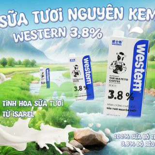 Sữa Tươi Western Độ béo 3.8% - Hộp 1L Chuyên Dùng Cho Pha Chế