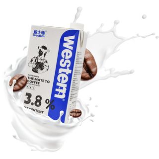 Sữa Tươi Western Độ béo 3.8% - Hộp 1L Chuyên Dùng Cho Pha Chế
