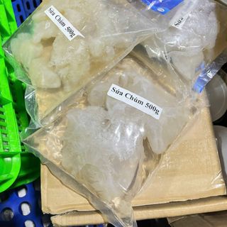 Sứa Chùm đã Xã Mặn - Gói 500g luôn nước 1kg