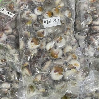Ốc Mỡ size 200 con 1kg ( Giao TPHCM )