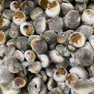 Ốc Mỡ size 200 con 1kg ( Giao TPHCM )