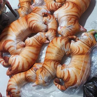 Gối ôm mèo 3D, gấu bông mèo 3D, gối ôm mèo mướp