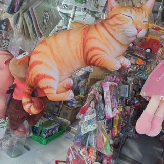 Gối ôm mèo 3D, gấu bông mèo 3D, gối ôm mèo mướp