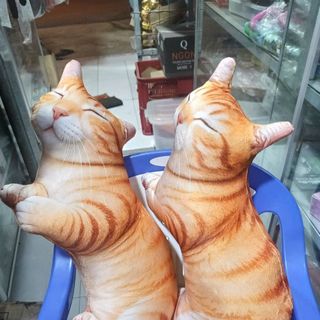 Gối ôm mèo 3D, gấu bông mèo 3D, gối ôm mèo mướp