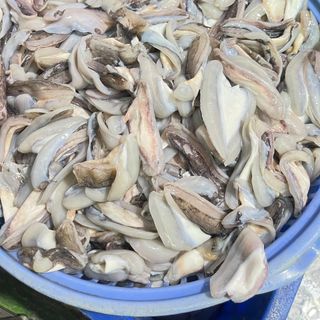 Dè mực nang nhỏ - Túi 1kg net 8 ( giao TPHCM )