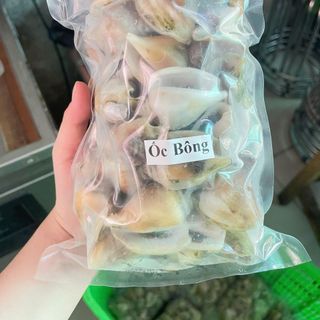 Ốc Nhảy size 40-60 con 1kg ( Giao TPHCM )