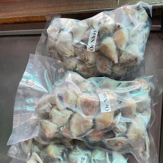 Ốc Nhảy size 40-60 con 1kg ( Giao TPHCM )