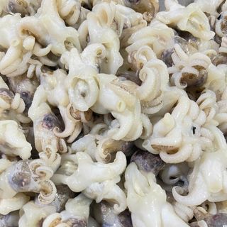 Đầu mực nang Size 15-20 cái - Khay 500g ( giao TPHCM )