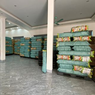 Miến Dong Làng So 100% Tinh Bột Dong Riềng - Nhận Sỉ Toàn Quốc