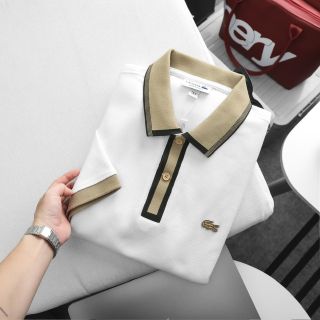 Polo nam. Chất vải pique phối chuẩn web.