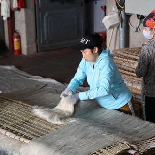 Miến Dong Làng So 100% Tinh Bột Dong Riềng - Nhận Sỉ Toàn Quốc