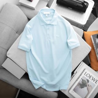 Mẫu áo polo nam. Áo polo chất xuất dư 100% cotton.