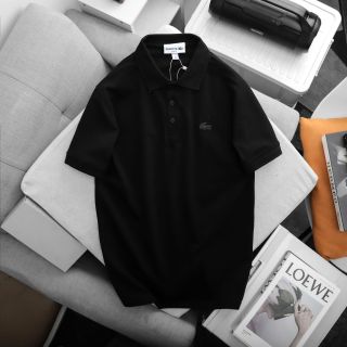 Mẫu áo polo nam. Áo polo chất xuất dư 100% cotton.