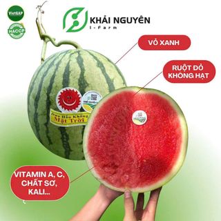 SỈ DƯA HẤU KHÔNG HẠT HỮU CƠ VIETGAP