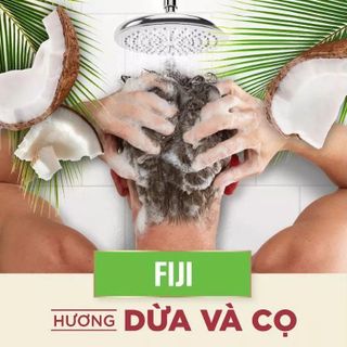 Dầu gội xả OLD SPICE 2IN1 Fiji | Nuôi dưỡng tóc chắc khoẻ, Hương nước hoa