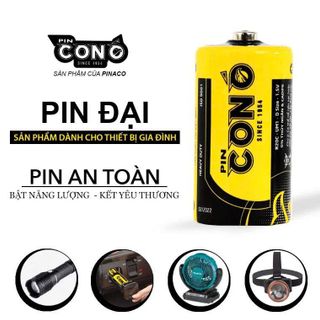 HỘP 12 VIÊN PIN ĐẠI CON Ó (T20)