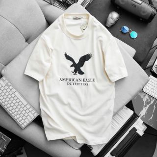 Áo thun chất cotton 4c nam. Logo  thêu.