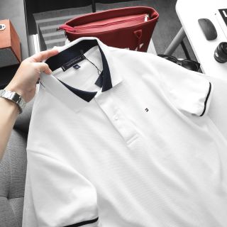 Mẫu áo cổ bẻ chất pique cotton 2c mềm mịn nam.