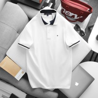 Mẫu áo cổ bẻ chất pique cotton 2c mềm mịn nam.